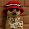 offical..ancestor