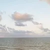 lightvictorywino23