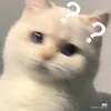 nixreex_021