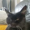 arthurmorganprime281018