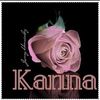 lckarina46