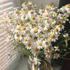 daisy189_