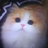 meo.cute125
