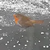 robyn_hope_4