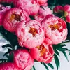 hoa_hong_gai89