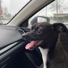 lucky_vancity