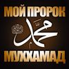 dyhq8cawtz3l