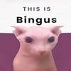 bingus196