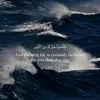 yznmustafa11