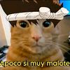 jjjjjjbbbbrrrrrr