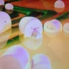 sola_8889