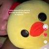 romero_pauli