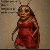 luceritodeamaya