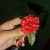 putrihw505