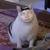 emmbow_