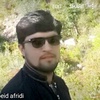 zabidafridi4