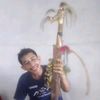 arief7755