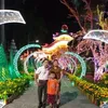 hinh.dinh2