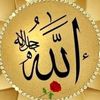 shayan_ot7