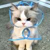 sicantikfashionn