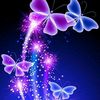 nimasara__16