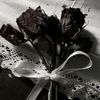 your_littleflowers