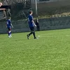 cicimourek_