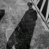 chanapha_0x