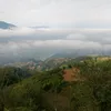 casyuavtsipom