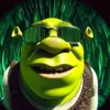 gumamelac