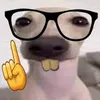 aleatoriedade2.4