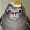 hubertdebontridder