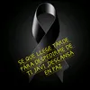 elena_gm8484