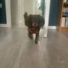 entertaining_7594