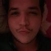 pinguino_coqueto