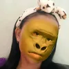 namasy_w
