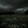 neferthary_two