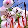 habibah9784