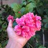 abdouhocine8