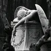 victoriatruc