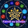 XAMAL SA ⭐️