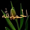 user705124405
