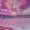 winter_vio