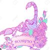 48escorpi0n