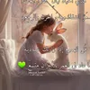 hussainhamed376