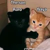nahajo22