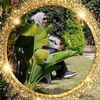 daliaibrahem966