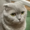 knyazmyshkin_