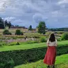 alloreley