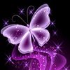motola_gold